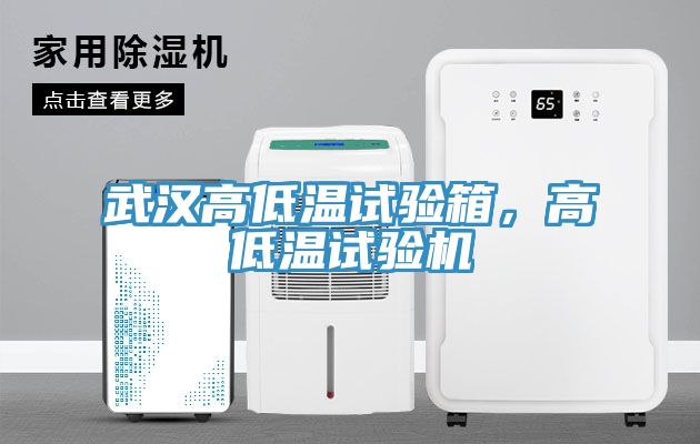 武汉高低温试验箱，高低温试验机
