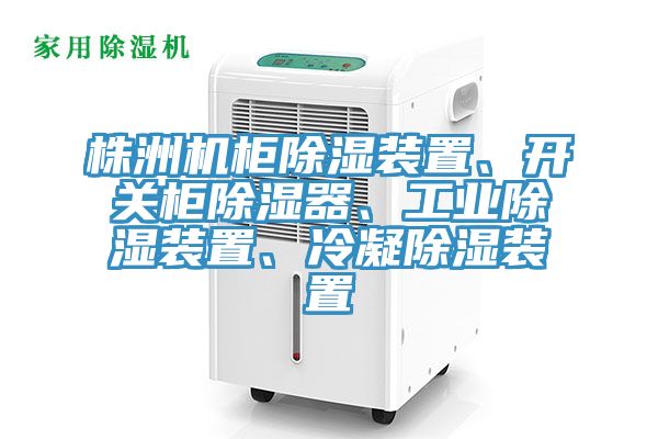 株洲机柜除湿装置、开关柜除湿器、工业除湿装置、冷凝除湿装置