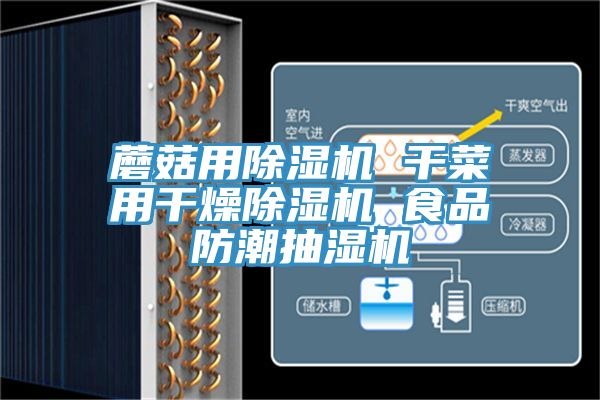 蘑菇用除湿机 干菜用干燥除湿机 食品防潮抽湿机