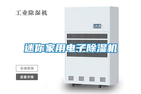 迷你家用电子除湿机