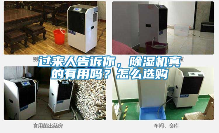 过来人告诉你，除湿机真的有用吗？怎么选购