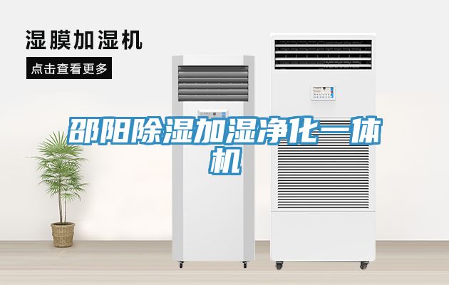 邵阳除湿加湿净化一体机