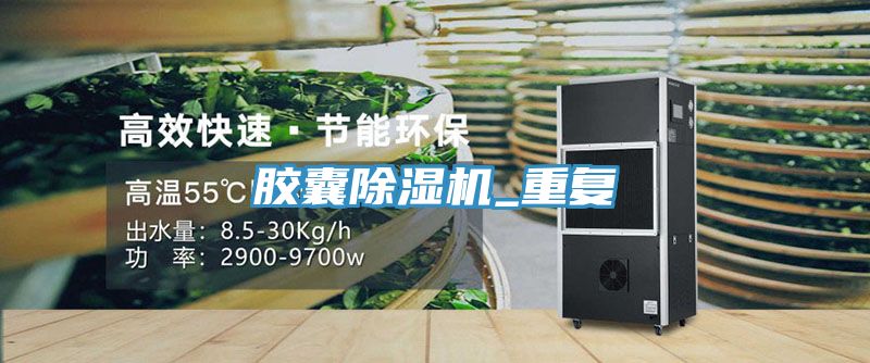 胶囊除湿机_重复