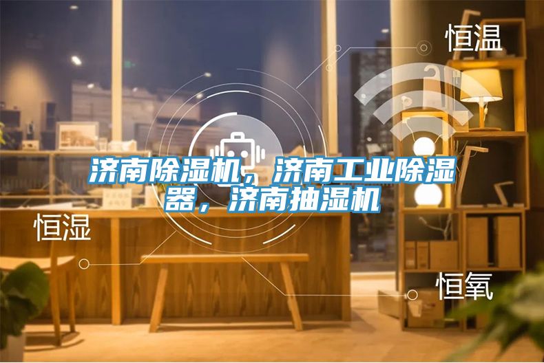 济南除湿机，济南工业除湿器，济南抽湿机