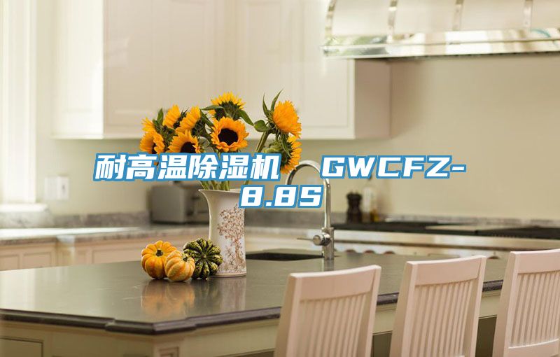 耐高温除湿机  GWCFZ-8.8S