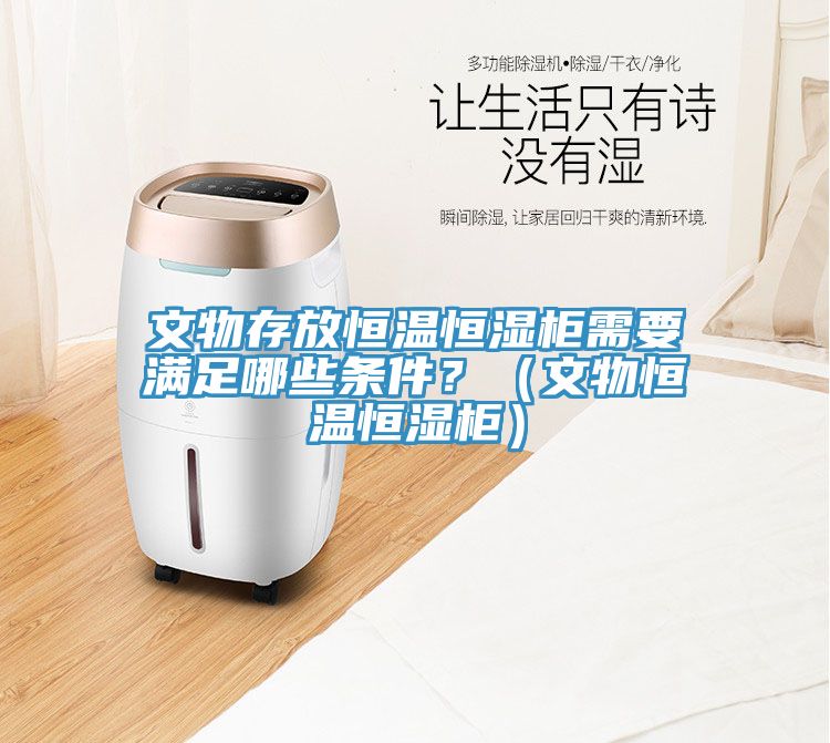 文物存放恒温恒湿柜需要满足哪些条件？（文物恒温恒湿柜）
