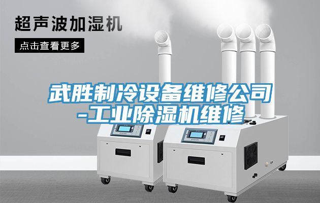 武胜制冷设备维修公司-工业除湿机维修