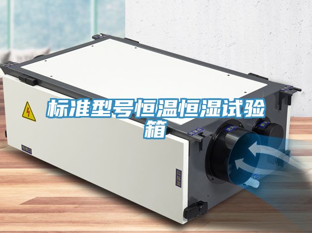 标准型号恒温恒湿试验箱