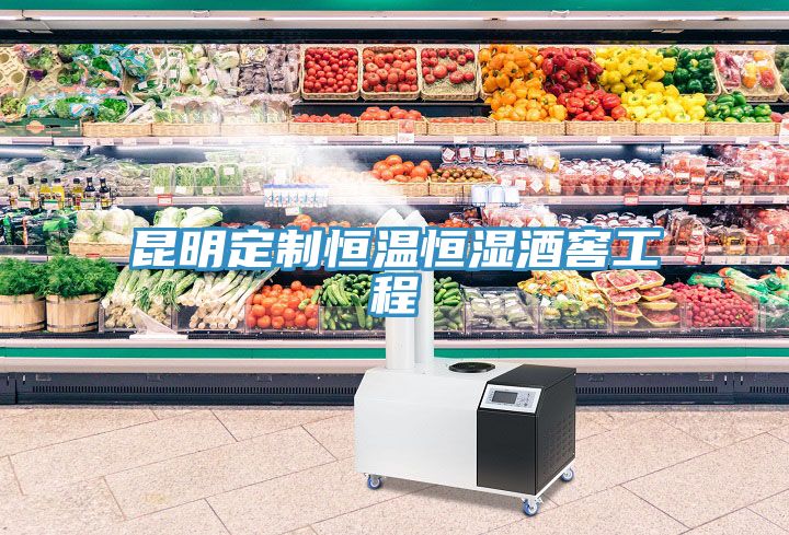 昆明定制恒温恒湿酒窖工程