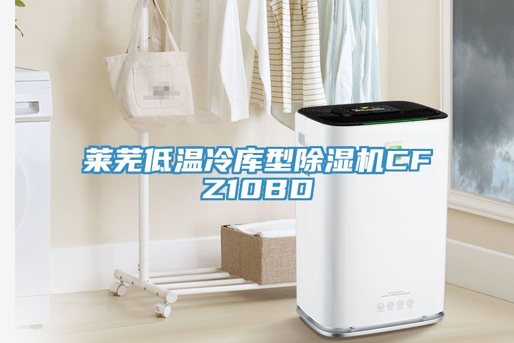 莱芜低温冷库型除湿机CFZ10BD