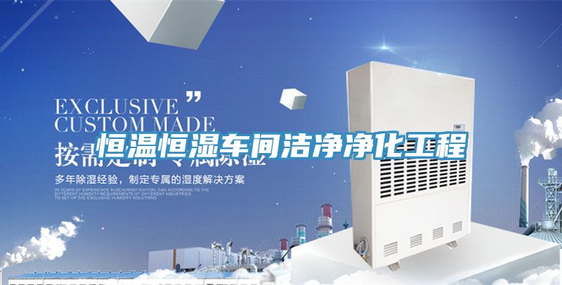 恒温恒湿车间洁净净化工程