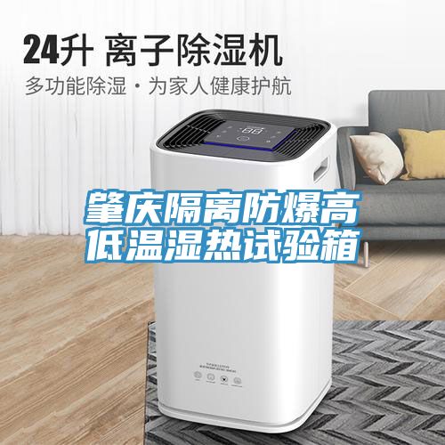 肇庆隔离防爆高低温湿热试验箱