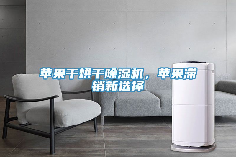 苹果干烘干除湿机，苹果滞销新选择
