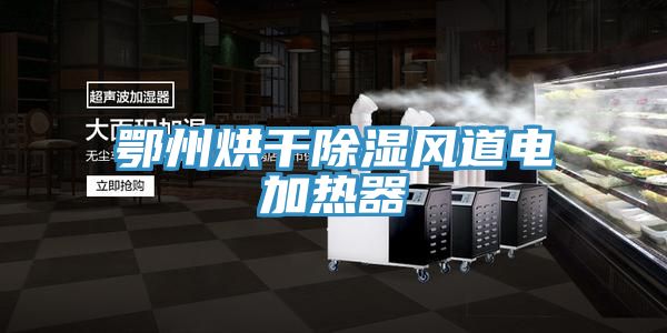 鄂州烘干除湿风道电加热器