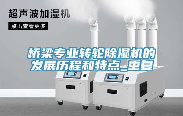 桥梁专业转轮除湿机的发展历程和特点_重复