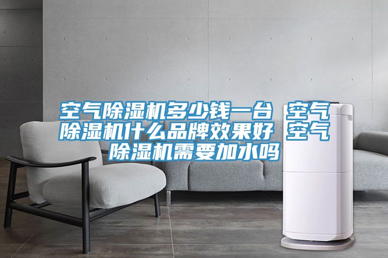 空气除湿机多少钱一台 空气除湿机什么品牌效果好 空气除湿机需要加水吗