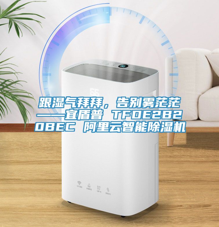 跟湿气拜拜，告别雾茫茫——宜盾普 TFDE2B20BEC 阿里云智能除湿机