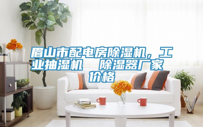 眉山市配电房除湿机，工业抽湿机  除湿器厂家 价格