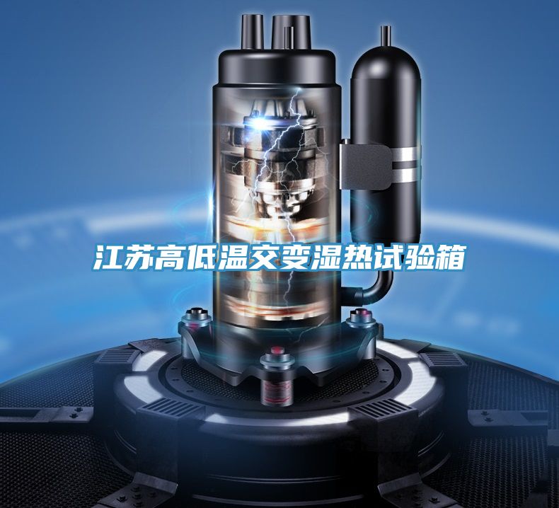 江苏高低温交变湿热试验箱