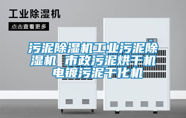 污泥除湿机工业污泥除湿机 市政污泥烘干机 电镀污泥干化机