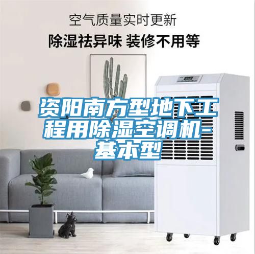资阳南方型地下工程用除湿空调机-基本型