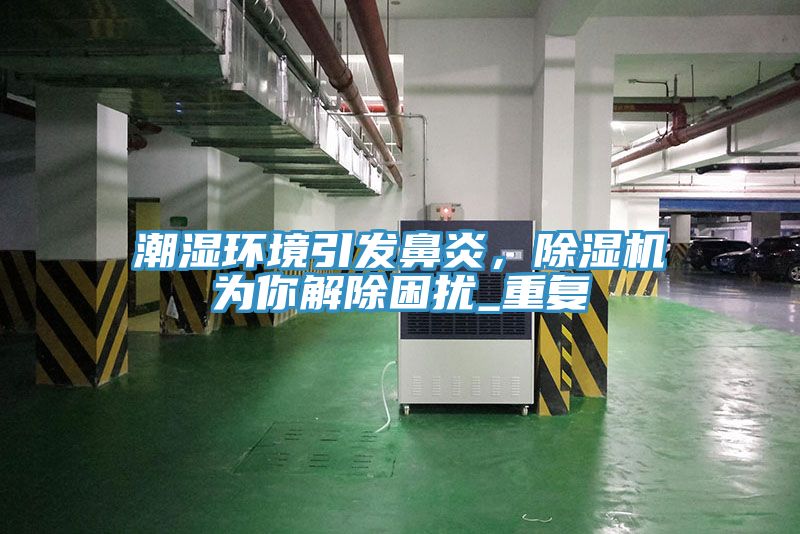 潮湿环境引发鼻炎，除湿机为你解除困扰_重复