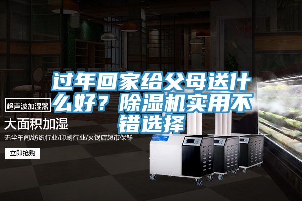 过年回家给父母送什么好？除湿机实用不错选择