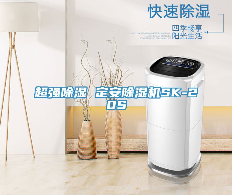 超强除湿 定安除湿机SK-20S