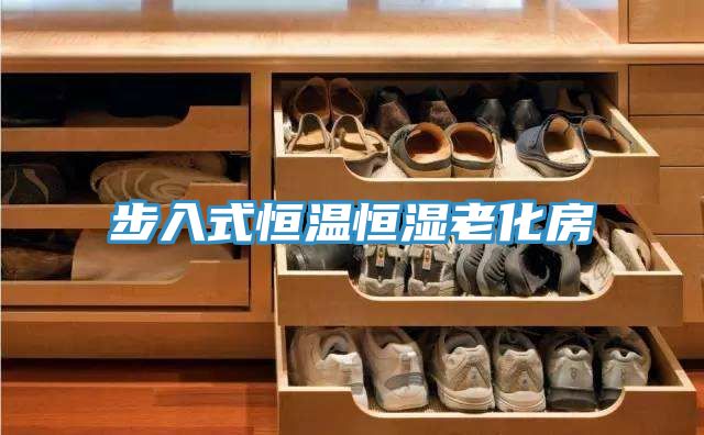 步入式恒温恒湿老化房