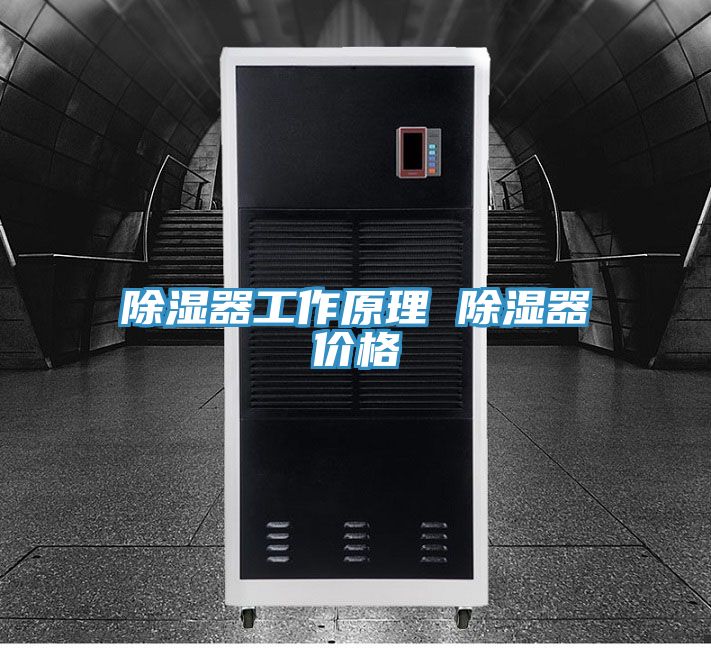 除湿器工作原理 除湿器价格