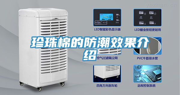 珍珠棉的防潮效果介绍