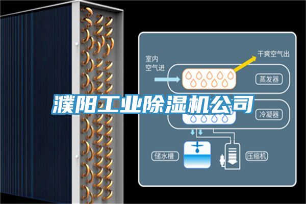 濮阳工业除湿机公司