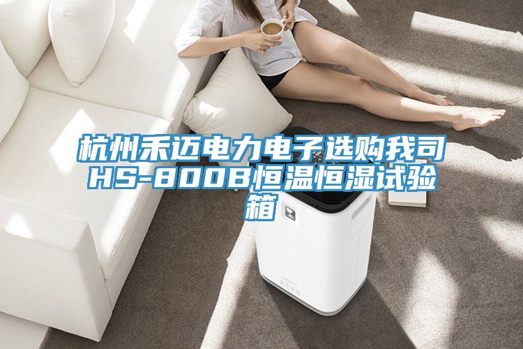 杭州禾迈电力电子选购我司HS-800B恒温恒湿试验箱