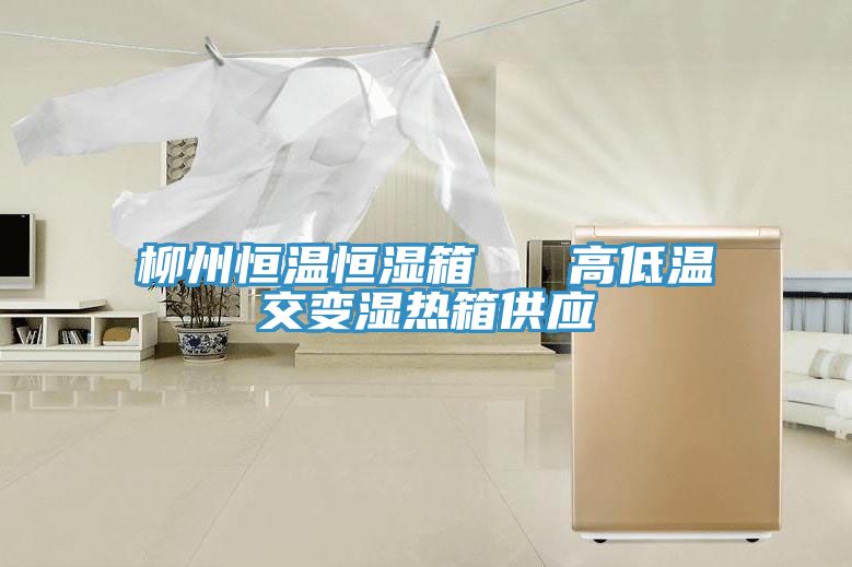 柳州恒温恒湿箱   高低温交变湿热箱供应
