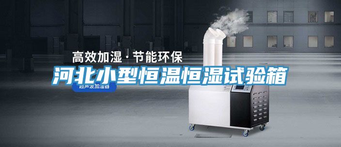 河北小型恒温恒湿试验箱
