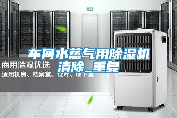 车间水蒸气用除湿机清除_重复