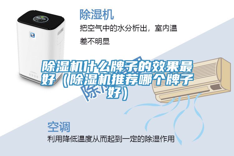 除湿机什么牌子的效果最好（除湿机推荐哪个牌子好）