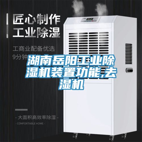 湖南岳阳工业除湿机装置功能,去湿机