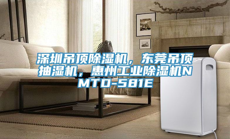 深圳吊顶除湿机，东莞吊顶抽湿机，惠州工业除湿机NMTD-581E