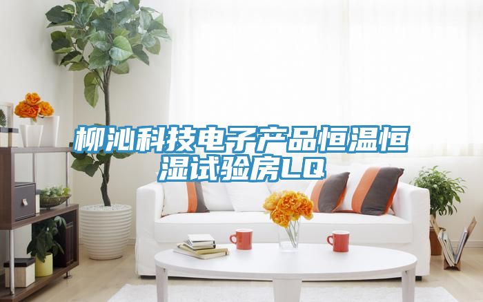 柳沁科技电子产品恒温恒湿试验房LQ
