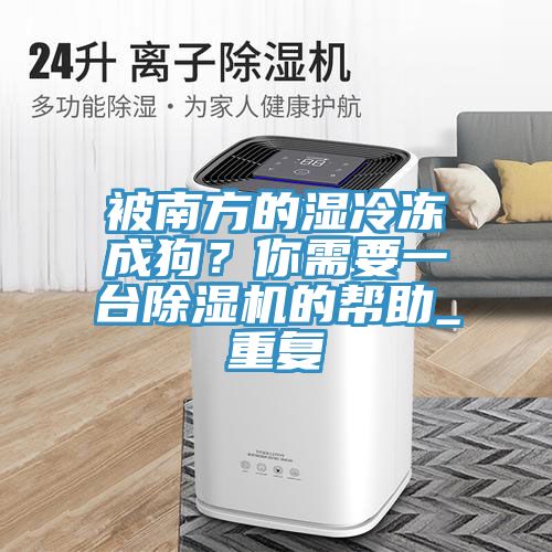 被南方的湿冷冻成狗？你需要一台除湿机的帮助_重复
