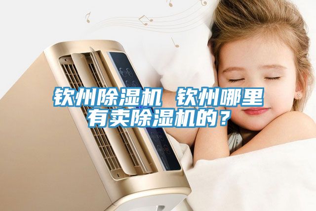 钦州除湿机 钦州哪里有卖除湿机的？