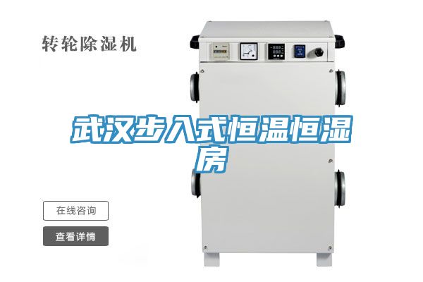 武汉步入式恒温恒湿房