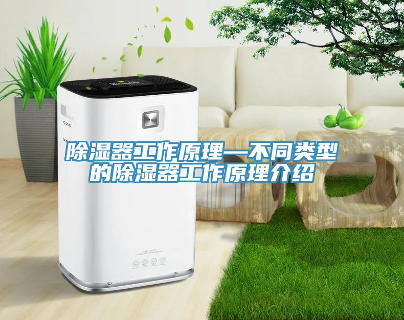 除湿器工作原理—不同类型的除湿器工作原理介绍