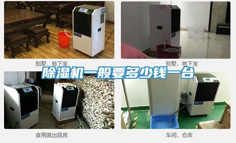 除湿机一般要多少钱一台