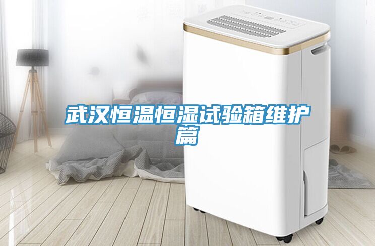 武汉恒温恒湿试验箱维护篇