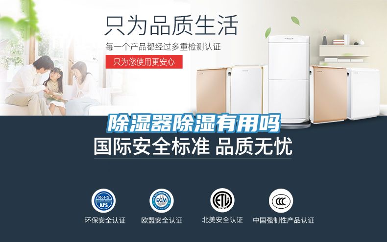 除湿器除湿有用吗