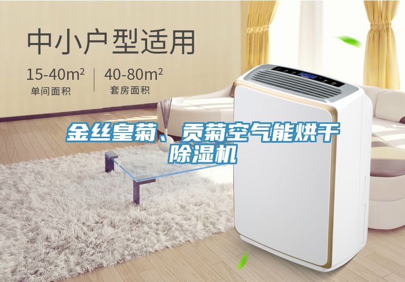 金丝皇菊、贡菊空气能烘干除湿机