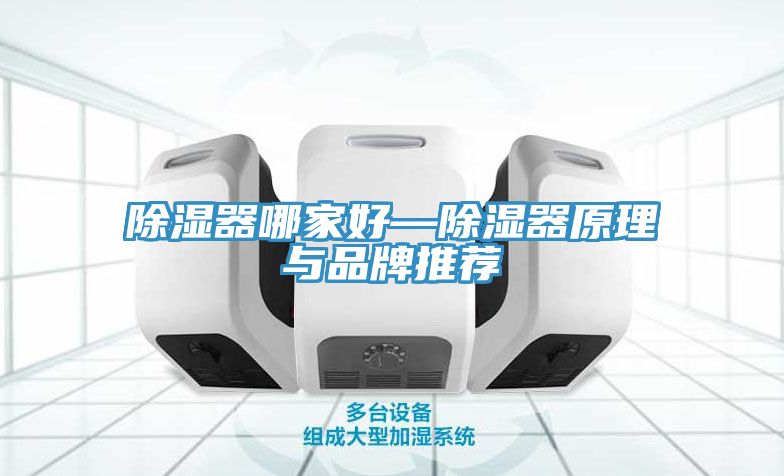 除湿器哪家好—除湿器原理与品牌推荐