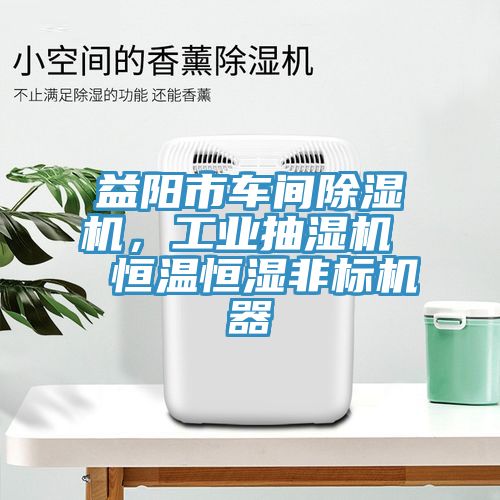益阳市车间除湿机，工业抽湿机  恒温恒湿非标机器